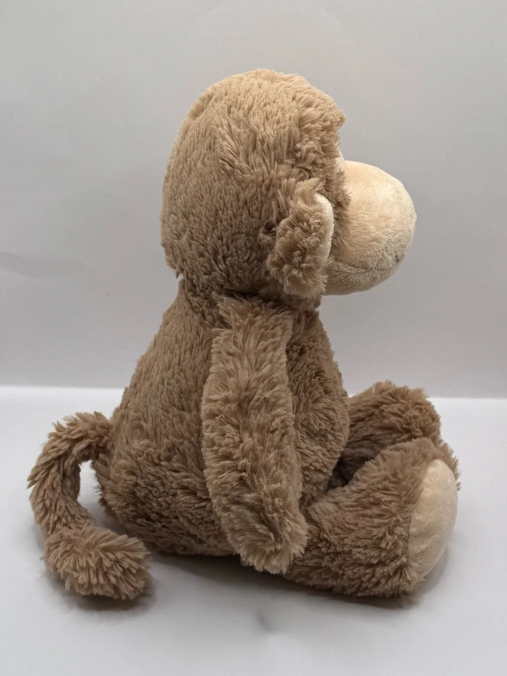Carters carter monkey